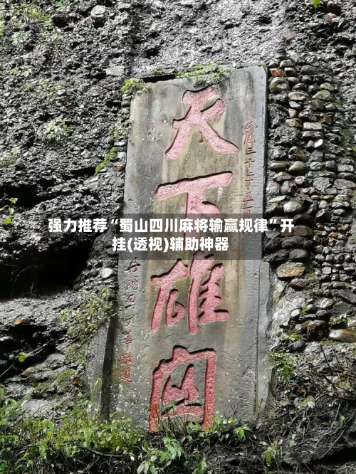 强力推荐“蜀山四川麻将输赢规律”开挂(透视)辅助神器-第3张图片