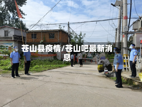 苍山县疫情/苍山吧最新消息-第1张图片