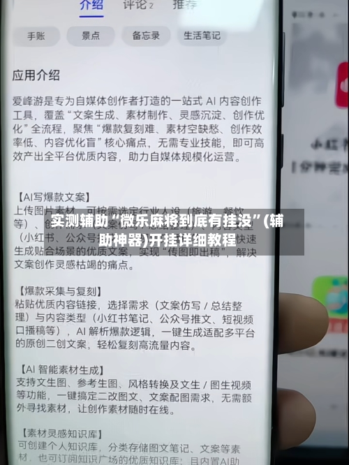 实测辅助“微乐麻将到底有挂没”(辅助神器)开挂详细教程-第3张图片