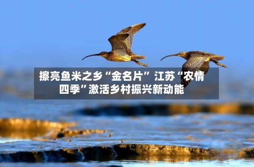 擦亮鱼米之乡“金名片” 江苏“农情四季”激活乡村振兴新动能-第1张图片