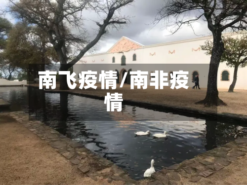 南飞疫情/南非疫情-第1张图片