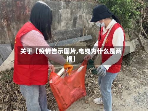 关于【疫情告示图片,电线为什么是两根】-第3张图片