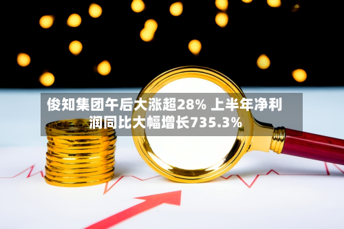 俊知集团午后大涨超28% 上半年净利润同比大幅增长735.3%-第1张图片