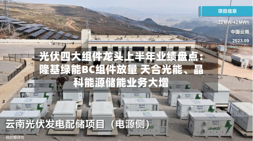 光伏四大组件龙头上半年业绩盘点：隆基绿能BC组件放量 天合光能、晶科能源储能业务大增-第1张图片