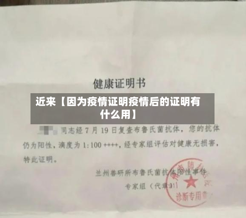 近来【因为疫情证明疫情后的证明有什么用】-第1张图片