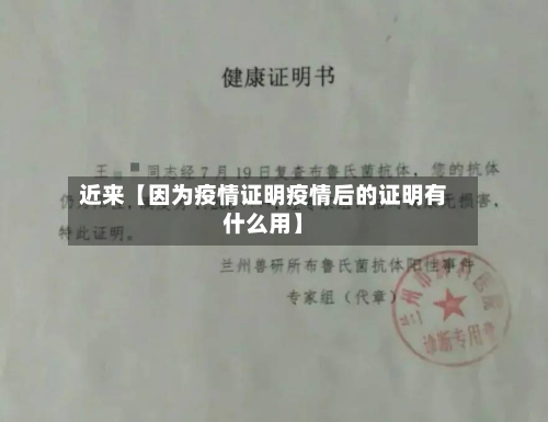 近来【因为疫情证明疫情后的证明有什么用】-第3张图片