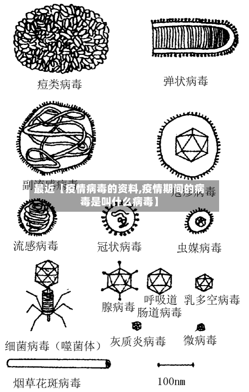 最近【疫情病毒的资料,疫情期间的病毒是叫什么病毒】-第3张图片