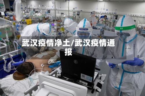 武汉疫情净土/武汉疫情通报-第2张图片
