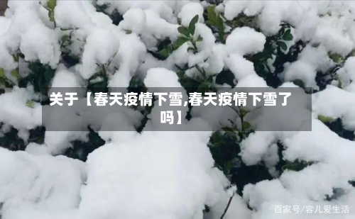 关于【春天疫情下雪,春天疫情下雪了吗】-第1张图片