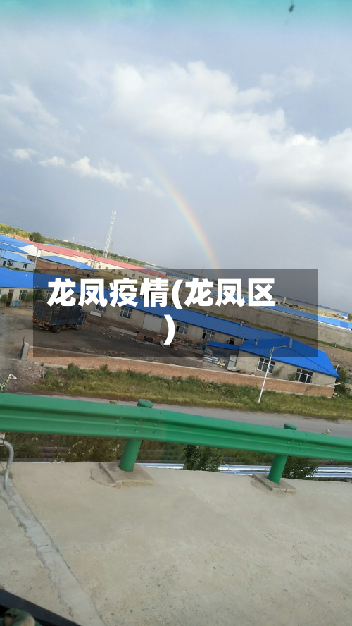 龙凤疫情(龙凤区)-第1张图片