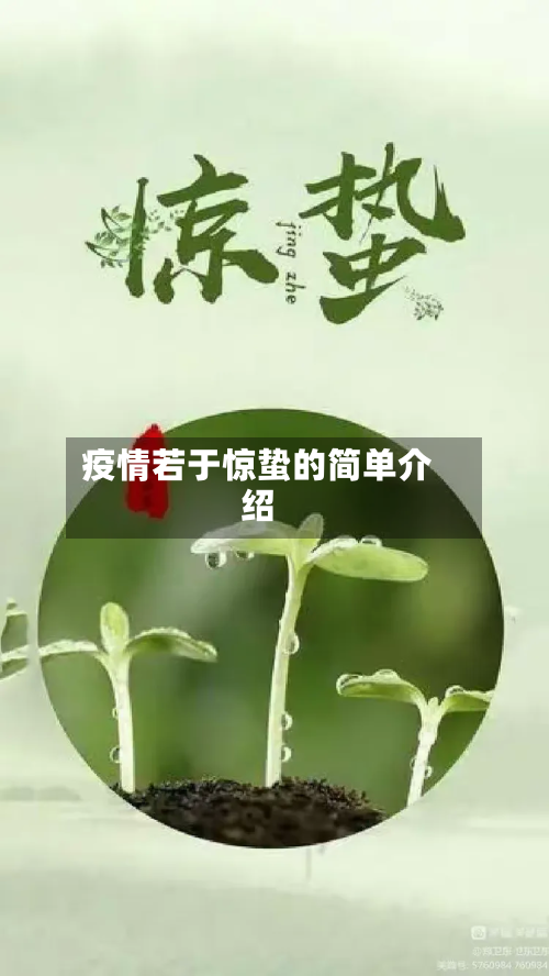疫情若于惊蛰的简单介绍-第1张图片