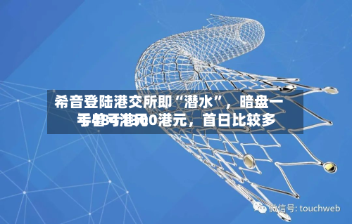 希音登陆港交所即“潜水	”	，暗盘一手曾亏1300港元，首日比较多亏484港元-第1张图片