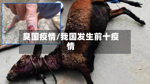 臭国疫情/我国发生前十疫情-第1张图片