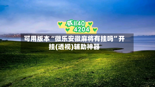 可用版本“微乐安徽麻将有挂吗”开挂(透视)辅助神器-第1张图片