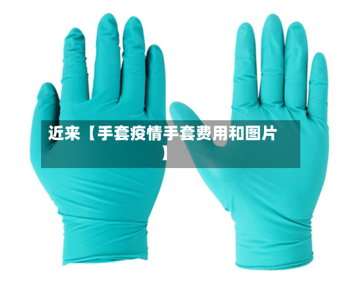 近来【手套疫情手套费用和图片】-第2张图片