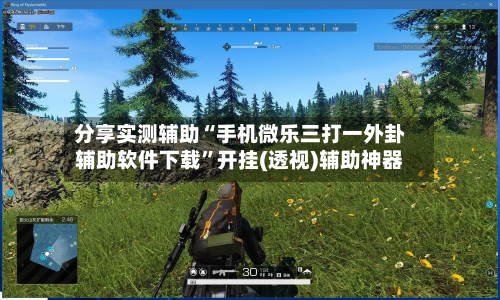 分享实测辅助“手机微乐三打一外卦辅助软件下载”开挂(透视)辅助神器-第1张图片