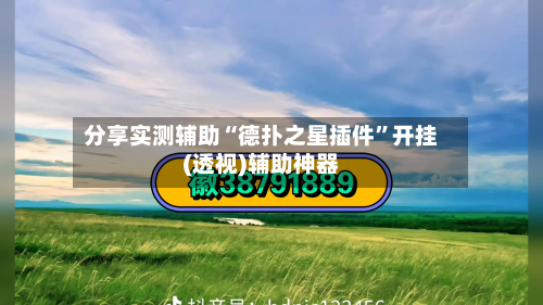 分享实测辅助“德扑之星插件”开挂(透视)辅助神器-第1张图片