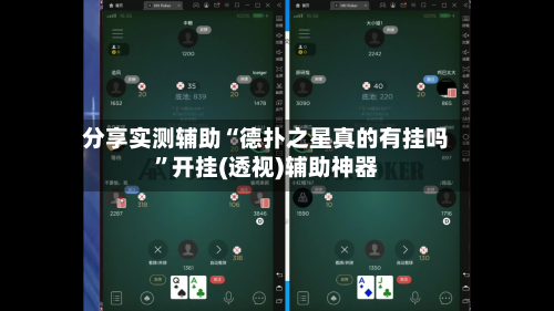 分享实测辅助“德扑之星真的有挂吗”开挂(透视)辅助神器-第2张图片