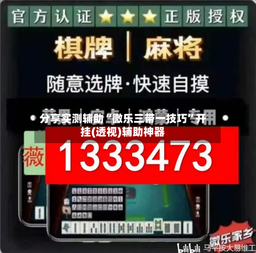 分享实测辅助“微乐三带一技巧”开挂(透视)辅助神器-第1张图片