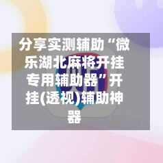 分享实测辅助“微乐湖北麻将开挂专用辅助器	”开挂(透视)辅助神器-第2张图片