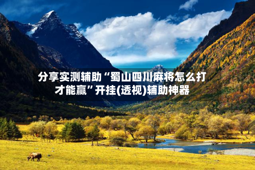 分享实测辅助“蜀山四川麻将怎么打才能赢	”开挂(透视)辅助神器-第1张图片