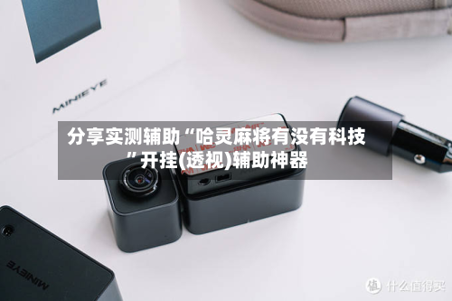 分享实测辅助“哈灵麻将有没有科技”开挂(透视)辅助神器-第2张图片