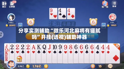 分享实测辅助“微乐河北麻将有猫腻吗”开挂(透视)辅助神器-第1张图片