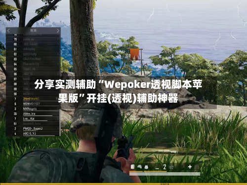 分享实测辅助“Wepoker透视脚本苹果版”开挂(透视)辅助神器-第1张图片
