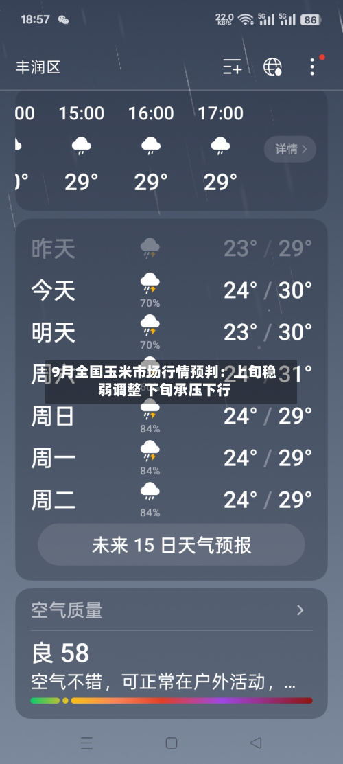 9月全国玉米市场行情预判：上旬稳弱调整 下旬承压下行-第2张图片