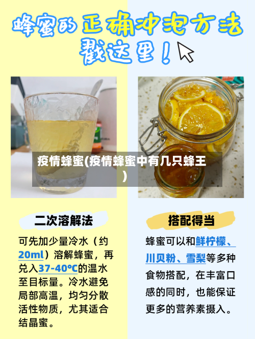 疫情蜂蜜(疫情蜂蜜中有几只蜂王)-第2张图片