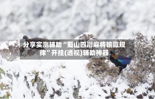 分享实测辅助“蜀山四川麻将输赢规律”开挂(透视)辅助神器-第1张图片