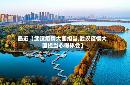 最近【武汉疫情大国担当,武汉疫情大国担当心得体会】-第1张图片