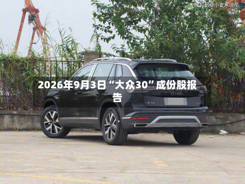 2026年9月3日“大众30”成份股报告-第2张图片