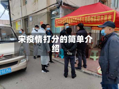 宋疫情打分的简单介绍-第1张图片