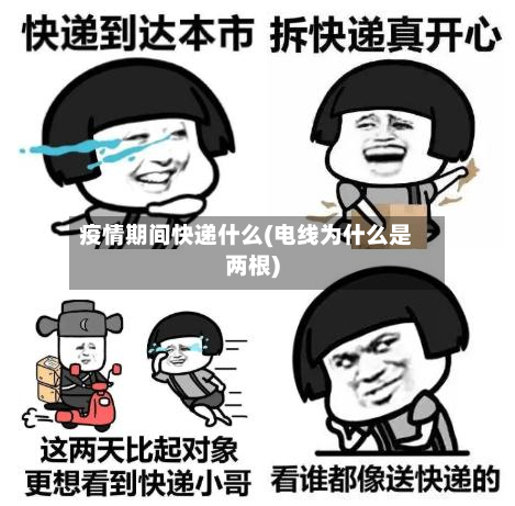疫情期间快递什么(电线为什么是两根)-第1张图片