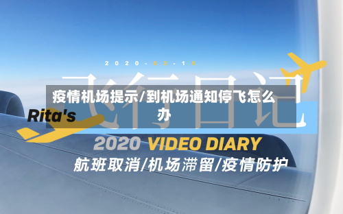 疫情机场提示/到机场通知停飞怎么办-第1张图片