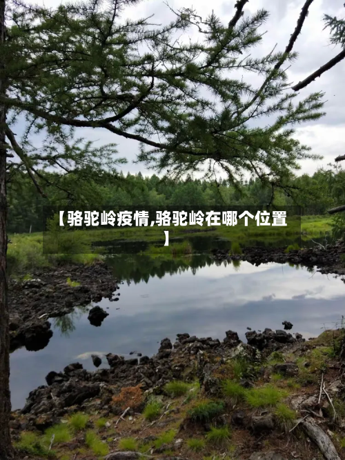 【骆驼岭疫情,骆驼岭在哪个位置】-第2张图片