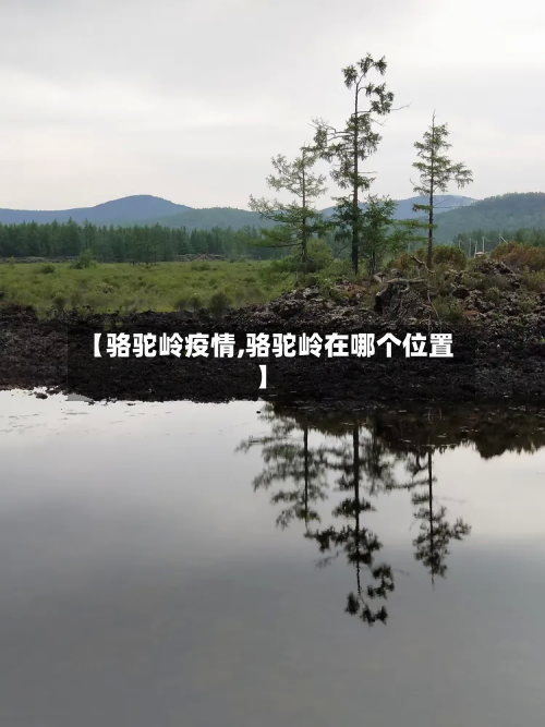【骆驼岭疫情,骆驼岭在哪个位置】-第3张图片