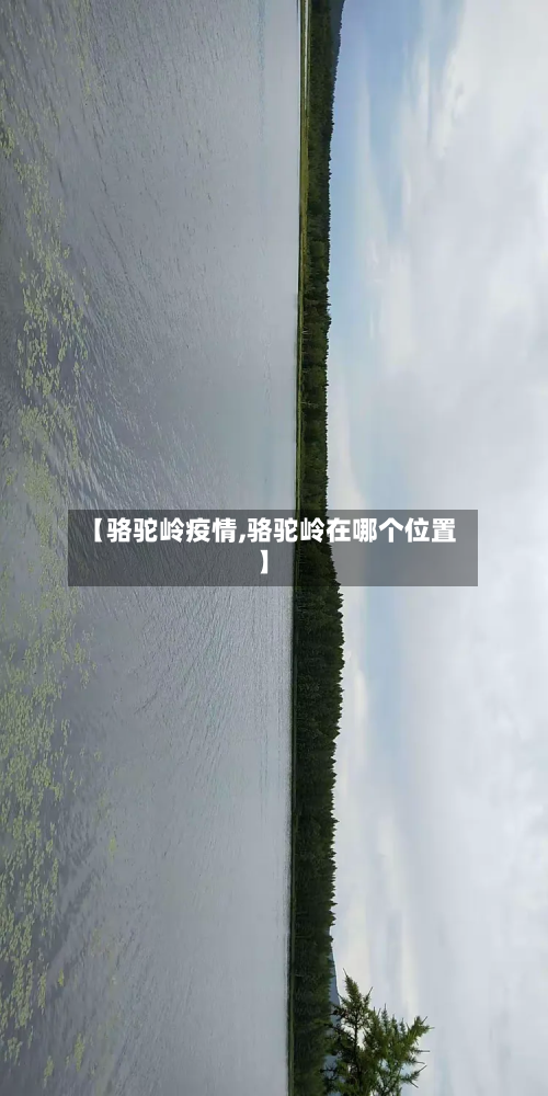 【骆驼岭疫情,骆驼岭在哪个位置】-第1张图片
