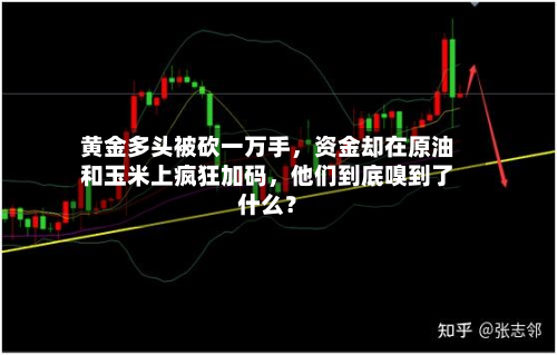 黄金多头被砍一万手	，资金却在原油和玉米上疯狂加码，他们到底嗅到了什么？-第2张图片