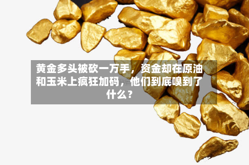 黄金多头被砍一万手	，资金却在原油和玉米上疯狂加码，他们到底嗅到了什么？-第1张图片
