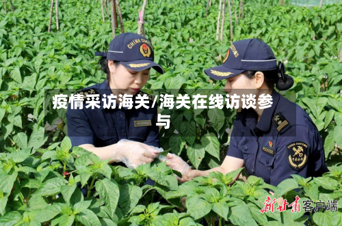 疫情采访海关/海关在线访谈参与-第1张图片