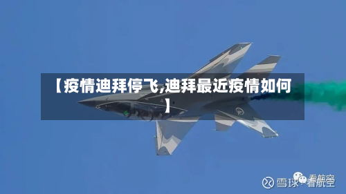 【疫情迪拜停飞,迪拜最近疫情如何】-第1张图片