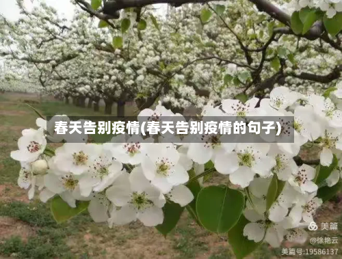 春天告别疫情(春天告别疫情的句子)-第2张图片