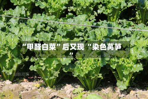 “甲醛白菜	”后又现 “染色莴笋”-第2张图片