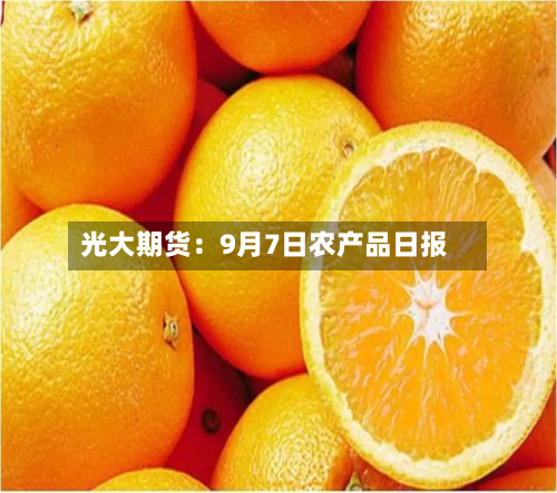 光大期货：9月7日农产品日报-第1张图片