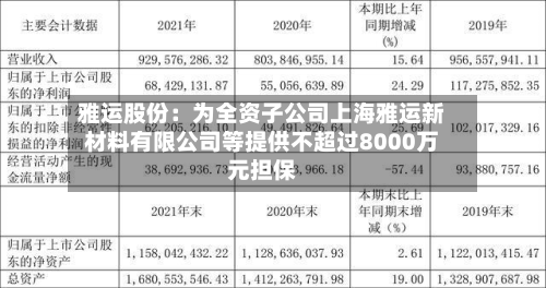 雅运股份：为全资子公司上海雅运新材料有限公司等提供不超过8000万元担保-第2张图片