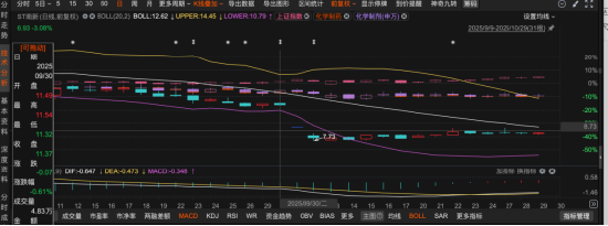 虚增利润占当期157%！南新制药2023年实际亏损却伪造成盈利 这些投资者可索赔！